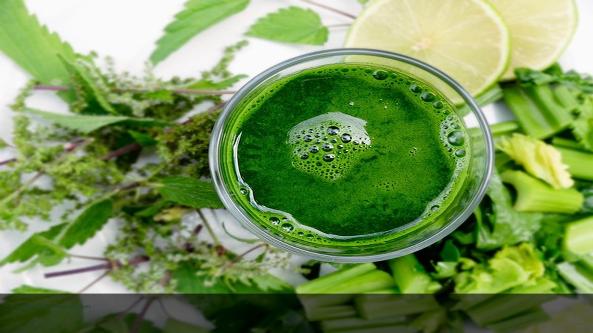 rezepte für kalorienarme smoothies