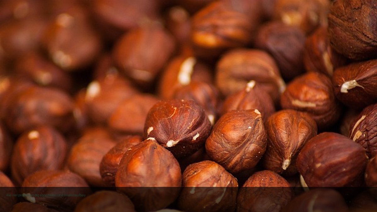 wie viel protein pro tag abnehmen und muskelaufbau